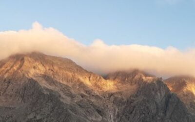 Ontwikkelingen in de praktijk