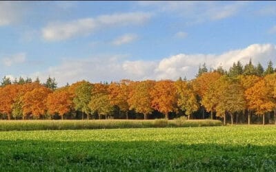 Nieuws uit de praktijk